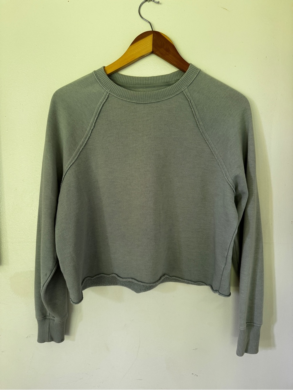 Cropped Oversized Crewneck Sweatshirt in Seafoam Sage